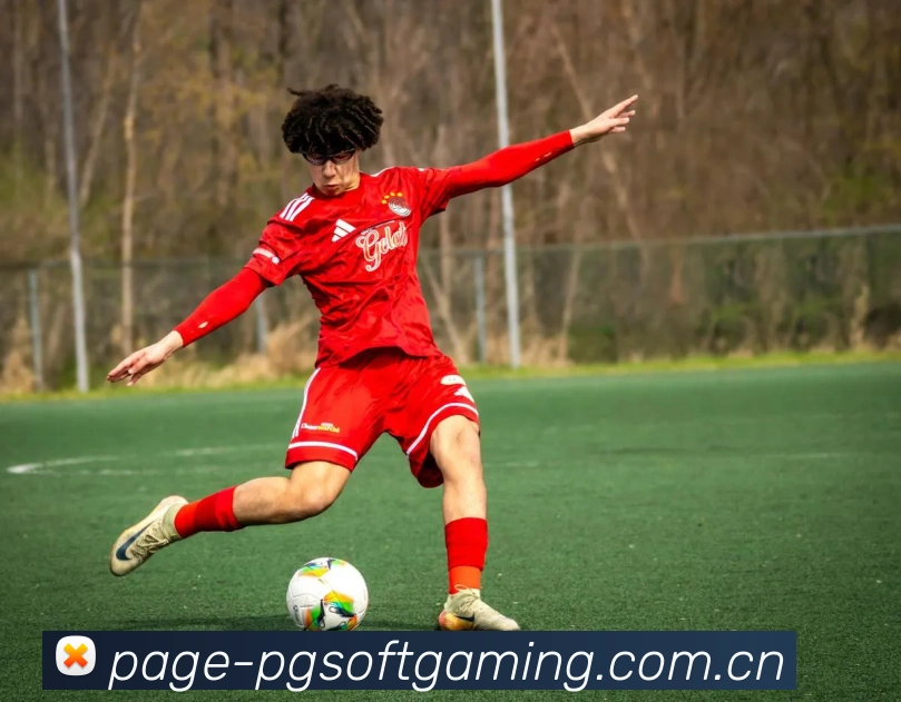 五重尊享安防体系